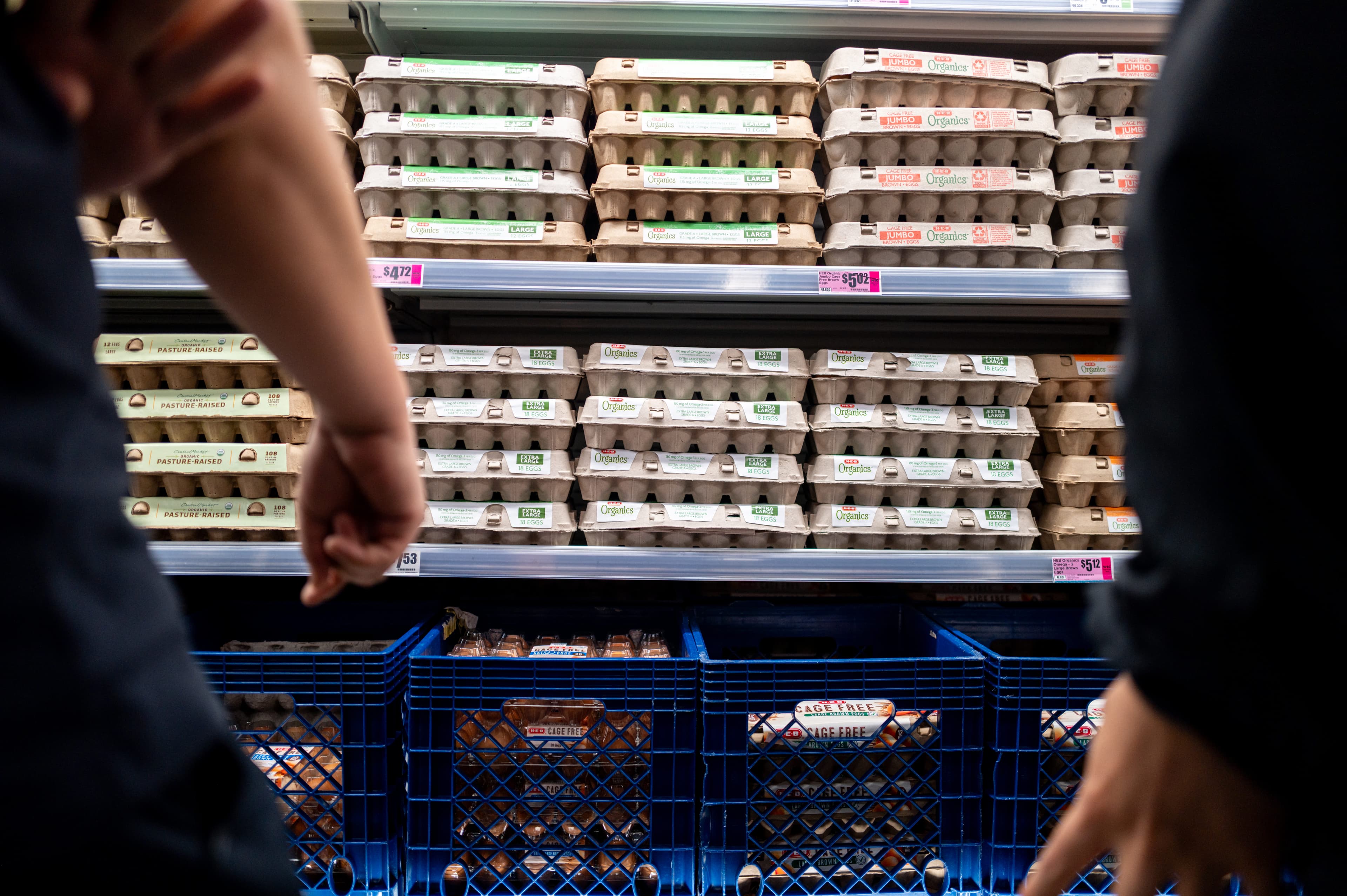 Egg Market Faces Margin Squeeze as Supply Rebounds, Costs Climb