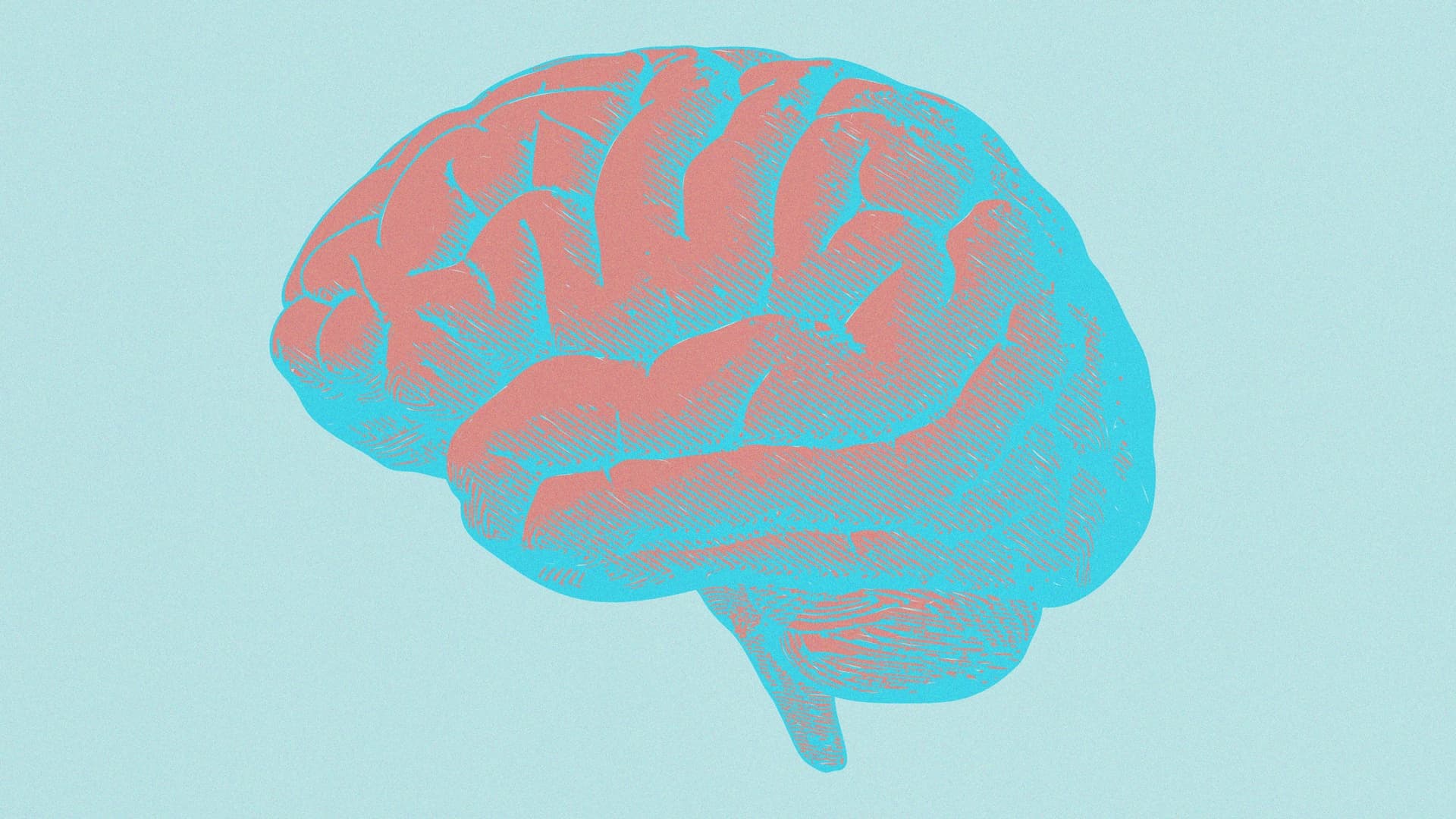 New Brain Research: 5-10 Minutes Daily Boosts Cognition at Any Age