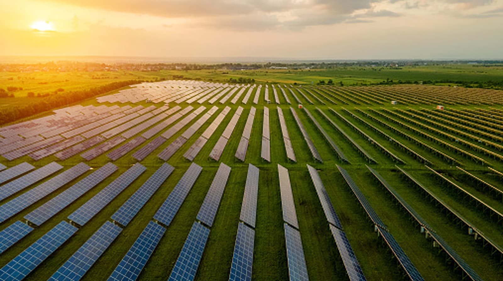 Solar Farms Expand Beyond Power Generation in Texas Market