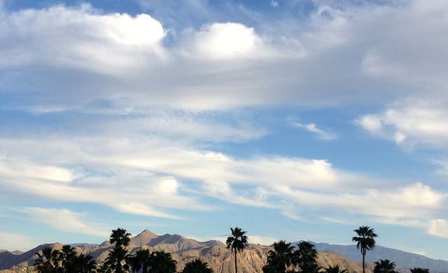 American Airlines Slashes New York-Palm Springs Fares to $256