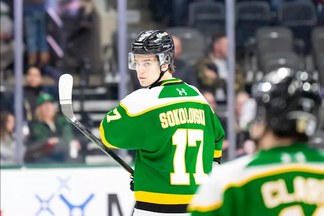 Sports Franchise Management: Lessons From NHL Draft Strategy