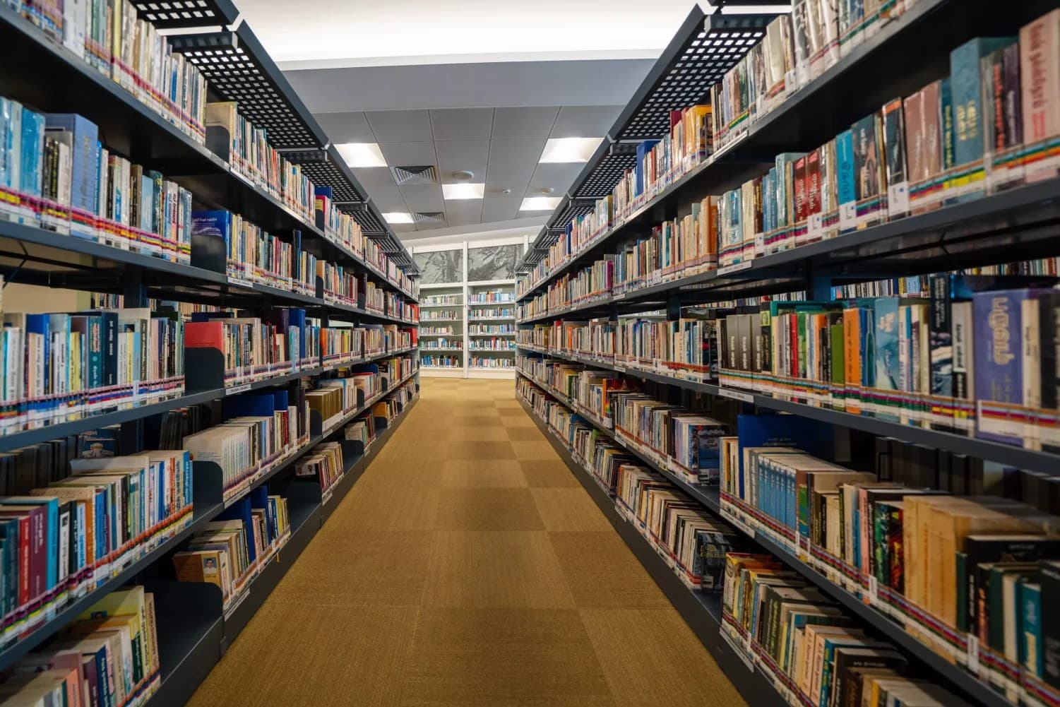 Dallas Library System Braces for Layoffs as City Faces Budget Crunch