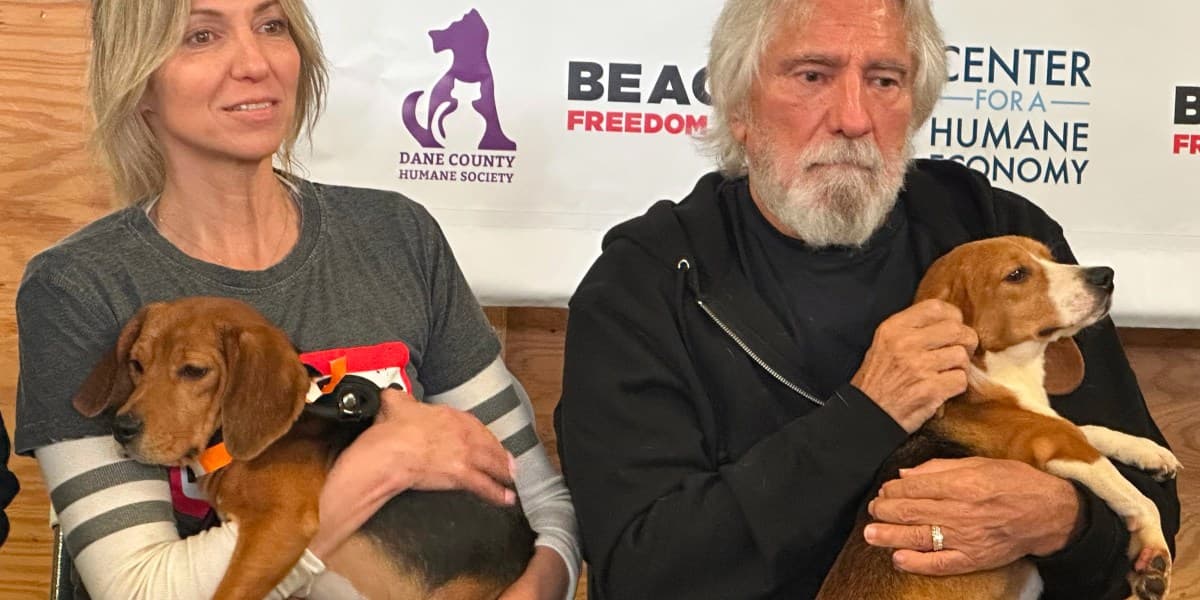 Rock Icons, Pop Stars Unite for Animal Rescue Advocacy
