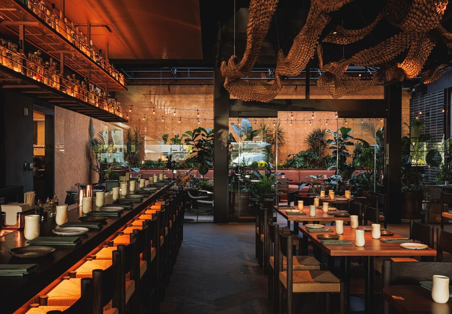 Sueño Elevates Mexican Dining in Snider Plaza with New Concept
