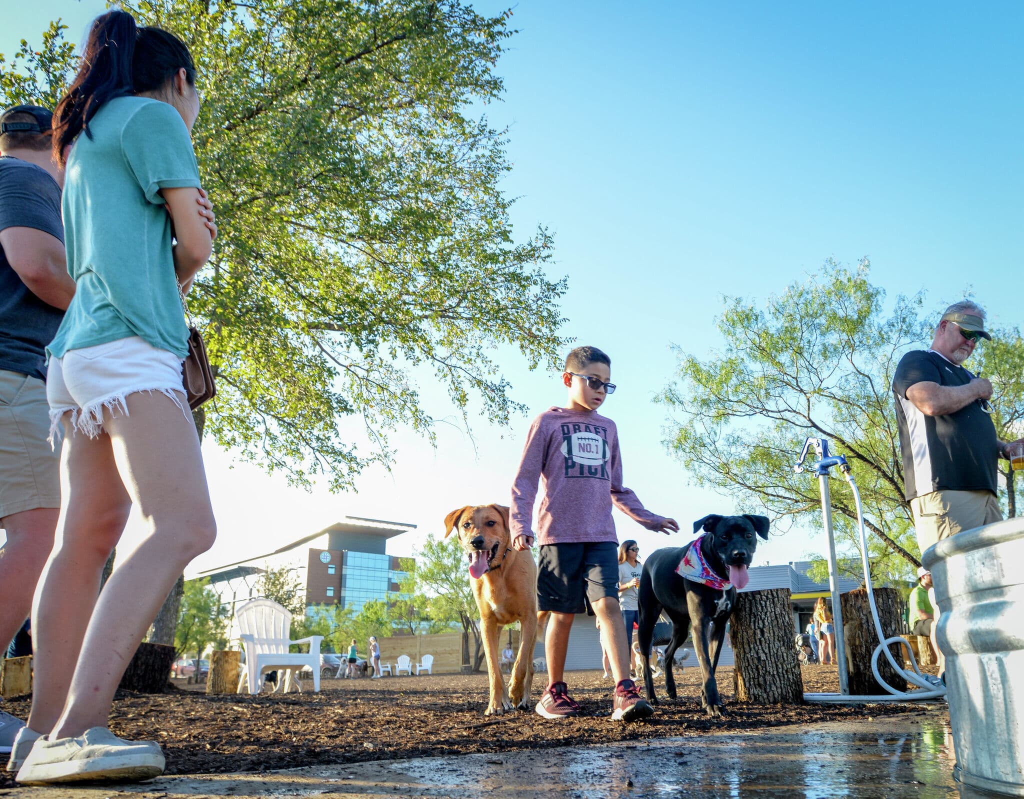 Popular DFW Dog-Friendly Venue Mutts Canine Cantina Closes Abruptly