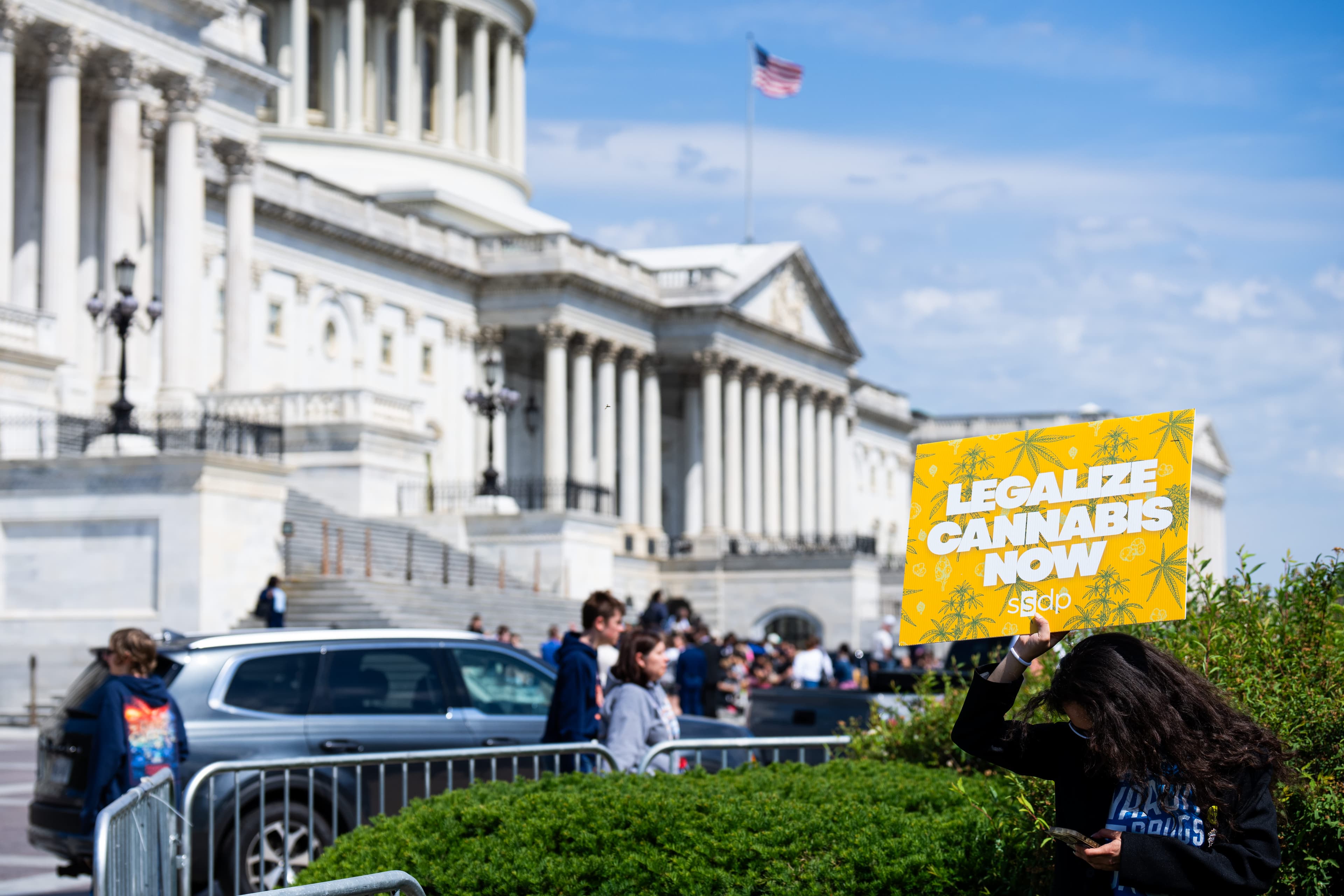 Cannabis Policy Becomes Contested Issue in Midterm Elections